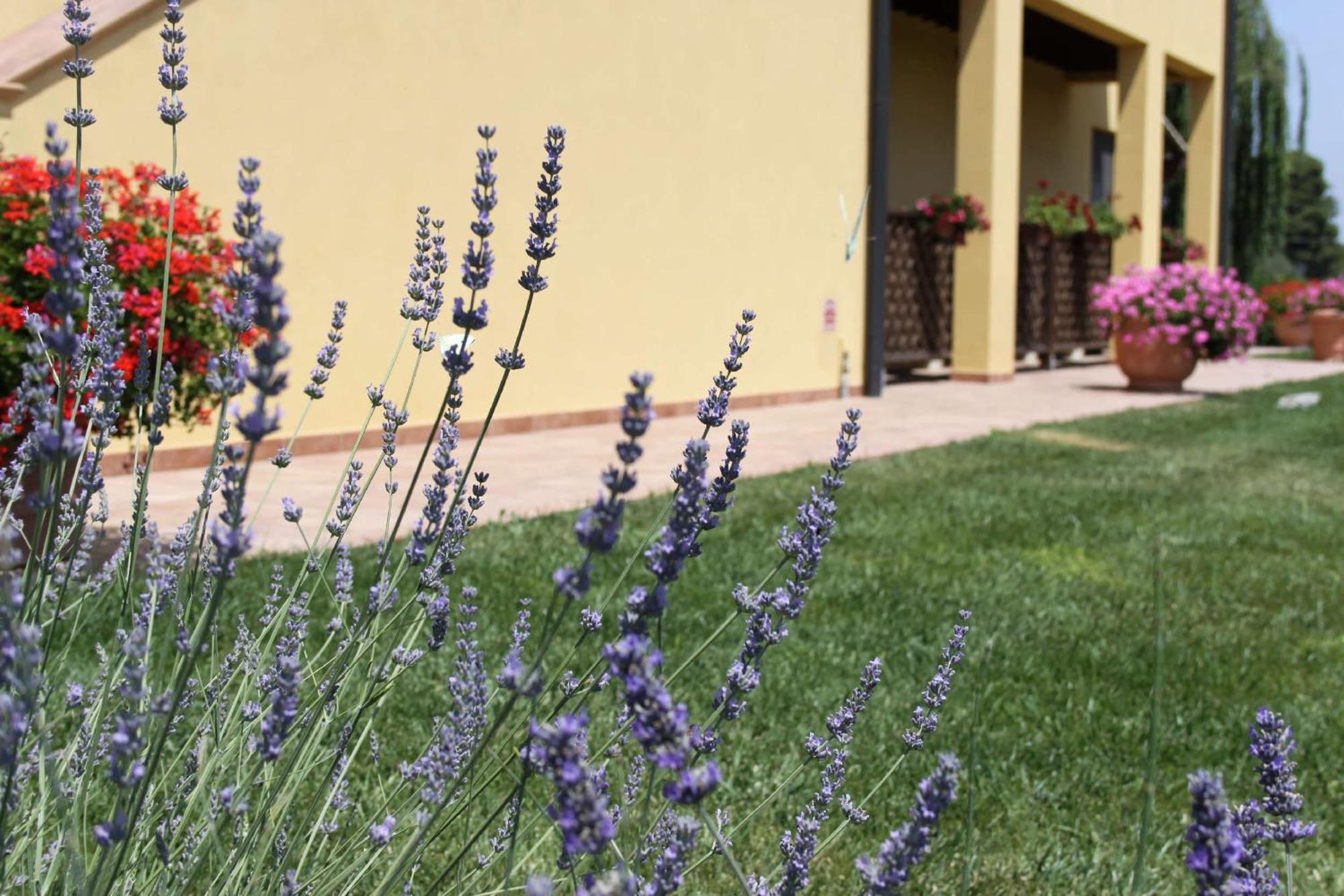 Podere Tre Cipressi Aparthotel Campiglia Marittima Εξωτερικό φωτογραφία
