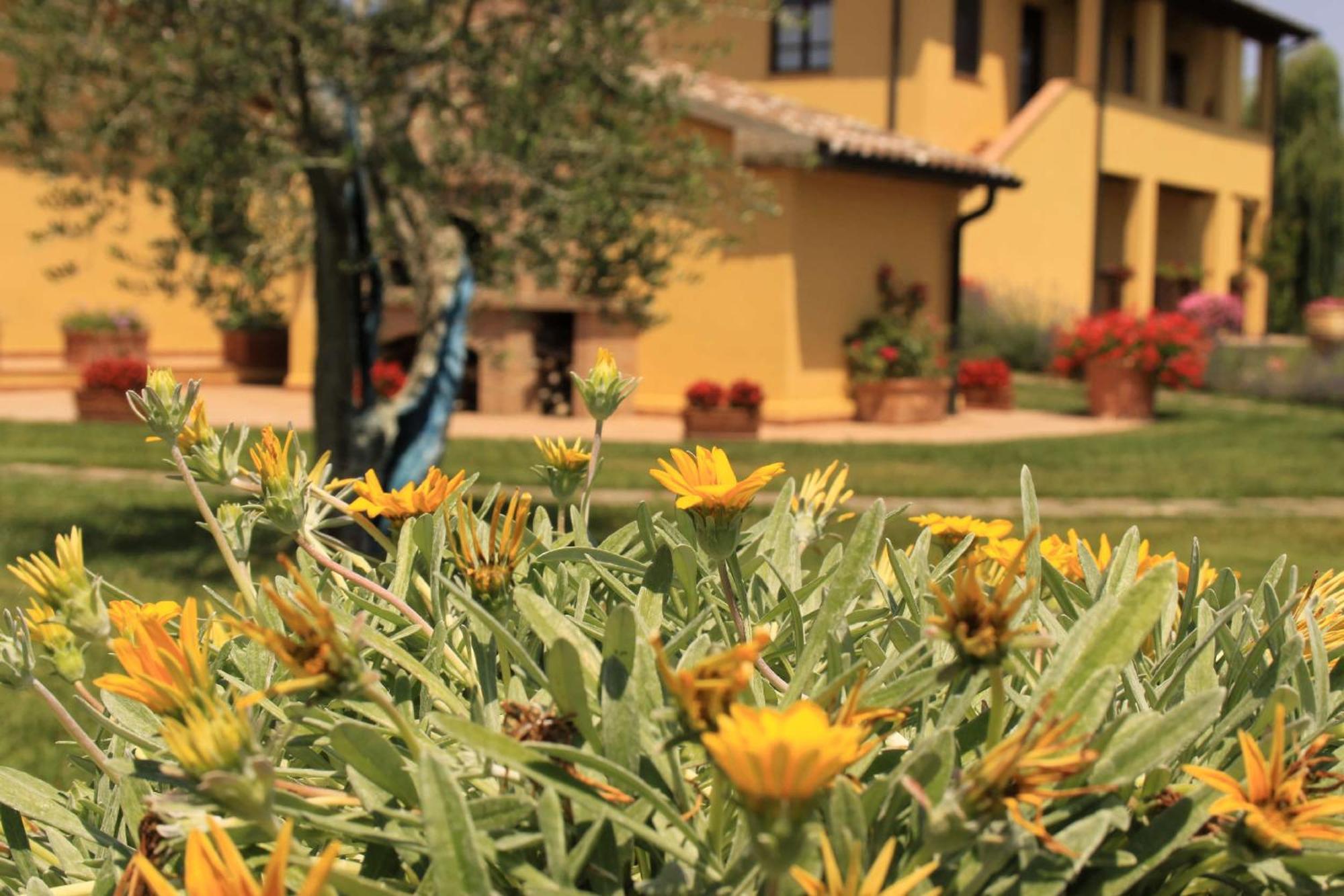 Podere Tre Cipressi Aparthotel Campiglia Marittima Εξωτερικό φωτογραφία